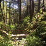 Ketchikan: Tongass Forest Alaska Bigfoot Atv Ride And Hike Tour Overview