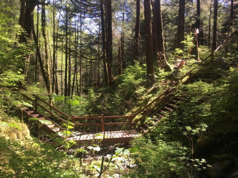 Ketchikan: Tongass Forest Alaska Bigfoot Atv Ride And Hike Tour Overview