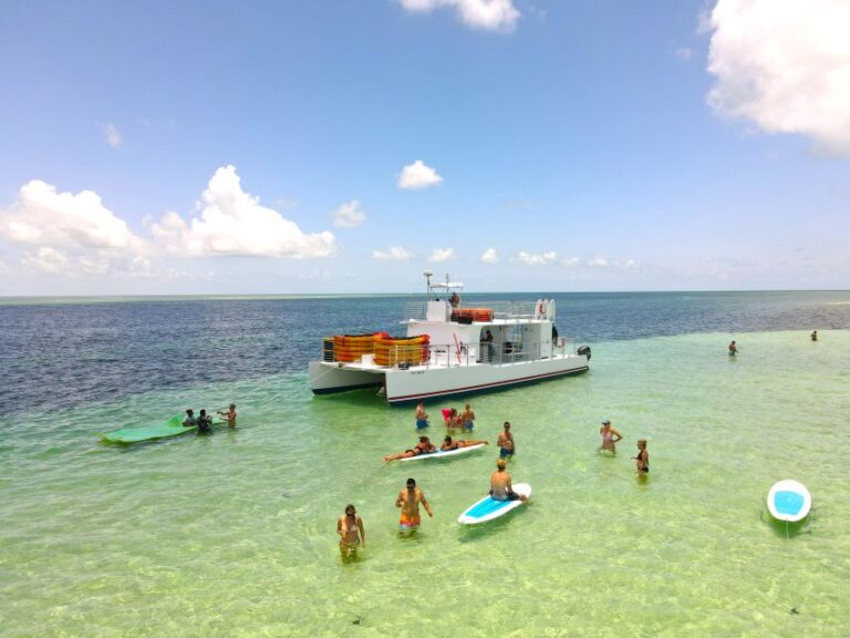 Key West: Sandbar Excursion & Kayak Tour With Lunch & Drinks Tour Overview