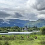 Killarney: Killarney National Park Private Tour Tour Overview And Details