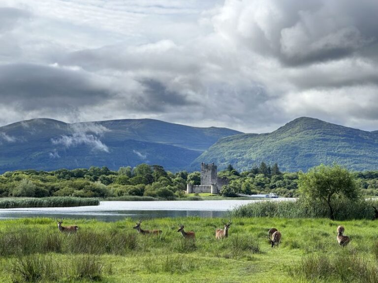 Killarney: Killarney National Park Private Tour Tour Overview And Details