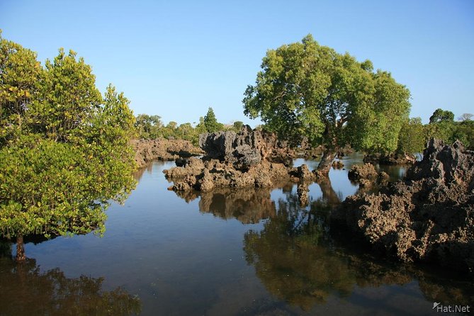 Kisite Marine Park Private Boat Tour With Scuba Diving And Lunch Activities Offered