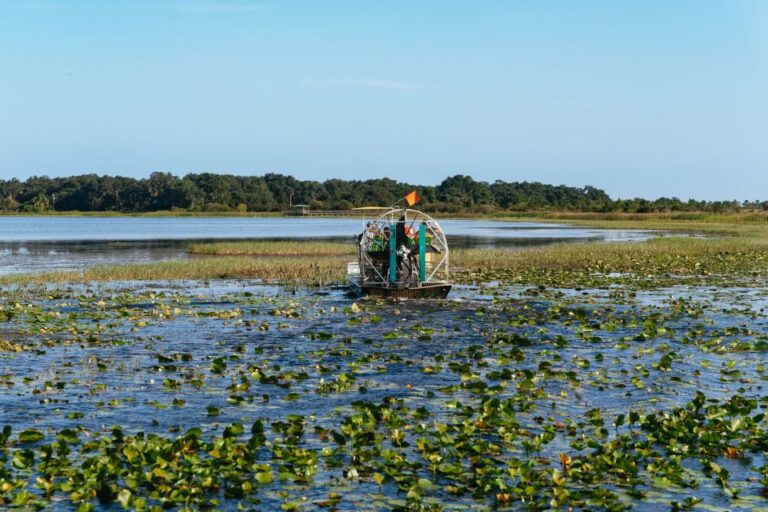 Kissimmee: 1 Hour Airboat Everglades Adventure Tour Tour Overview