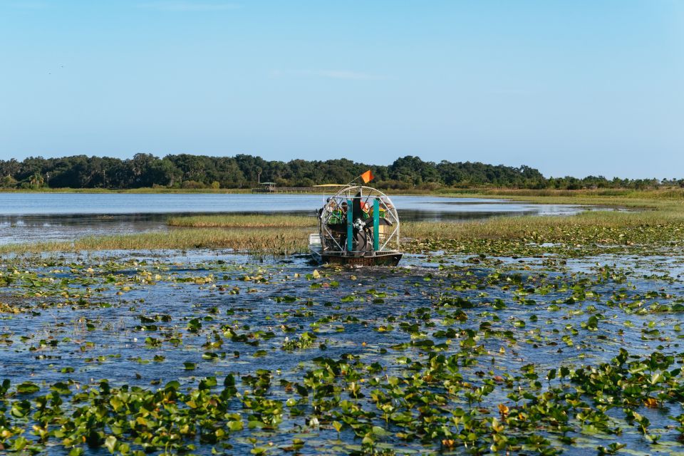 Kissimmee: 1-Hour Airboat Everglades Adventure Tour - Tour Overview