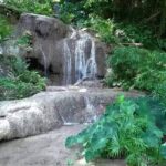 Konoko Falls And Tropical Garden Tour From Ocho Rios Inclusions And Exclusions