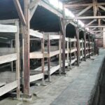 Krakow: Auschwitz Birkenau Day Trip With Tour Leader Tour Overview And Pricing