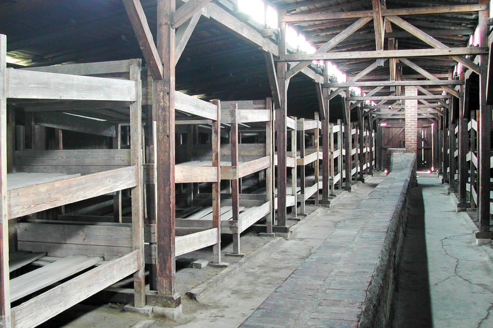 Krakow: Auschwitz-Birkenau Day Trip With Tour Leader - Tour Overview and Pricing