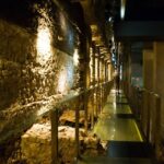 Krakow: Guided Tour Of Rynek Underground Overview Of The Tour