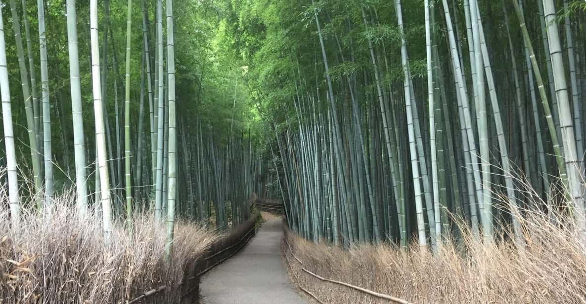 Kyoto, Arashiyama: Bamboo Grove Half-Day Private Guided Tour - Tour Overview