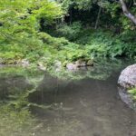 Kyoto Garden Tour And Mini Garden Review Tour Overview