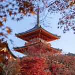 Kyoto: Personalized Guided Private Tour Tour Overview