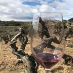 La Rioja Boutique Wine Tour 2 Wineries & Picnic Lunch (from Bilbao) Winery Visits And Tastings