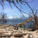 Lake Enriquillo Isla Cabritos National Park