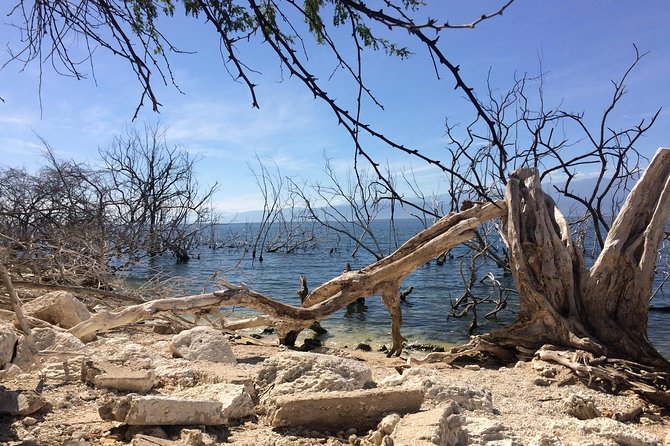 Lake Enriquillo - Isla Cabritos National Park