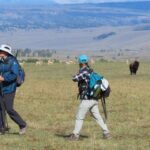 Lamar Valley: Safari Hiking Tour With Lunch About The Lamar Valley Safari