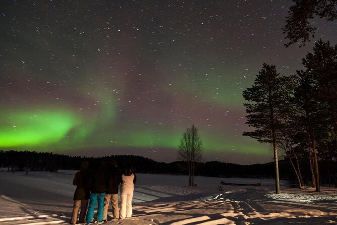 Lapland Husky Safari From Saariselkä - Tour Highlights