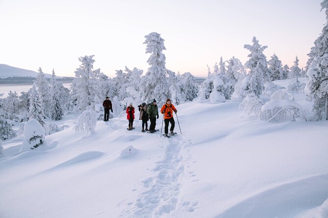 Lapland Winter Experience - Snow-Hiking Adventure