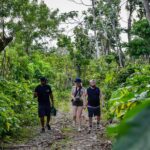 Lets Do Hiking In Punta Cana Exploring Tropical Scenery And Flora