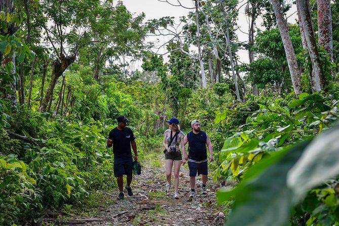 Lets Do Hiking in Punta Cana - Exploring Tropical Scenery and Flora