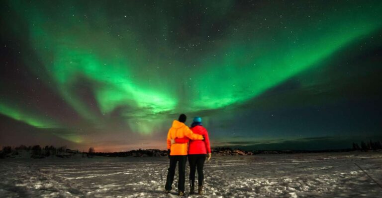 Levi: Aurora Borealis Bus & Snowshoe Tour With Hot Drink Offering And Availability