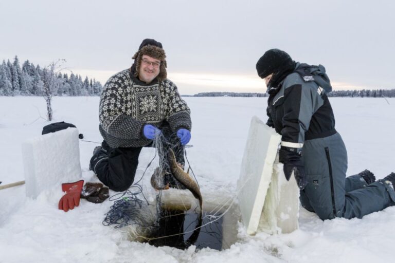 Levi: Ice Fishing By Snowmobile Snowmobile Safari Through Lapland