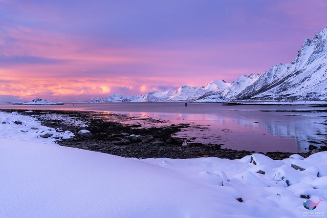 Lofoten Winter Photography Tour - Tour Overview and Details