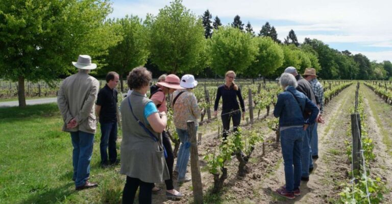 Loire Valley Tour & Wine Tasting In Vouvray, Chinon, Bourgueil Tour Details