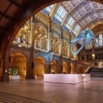 Londons Natural Marvels: Museum Expedition Tour Details