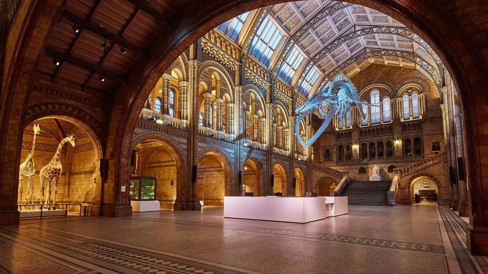 Londons Natural Marvels: Museum Expedition - Tour Details