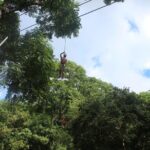 Loterie Farm: Fly Zone Treetop Zip Line Adventure Personalized Adventure Group