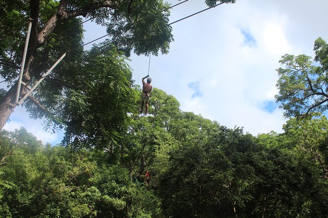 Loterie Farm: Fly Zone Treetop Zip Line Adventure Personalized Adventure Group