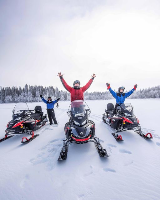 Luleå: Snowmobile - Forest and Ice Nature Tour 2h - Adventure in the Arctic Forests