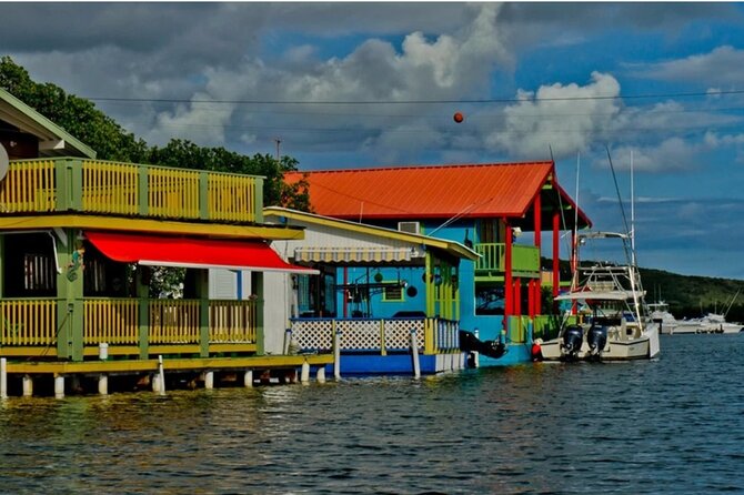 Luminous One Puerto Rico- Bio Bay Boat Ride With Swimming - Tour Overview