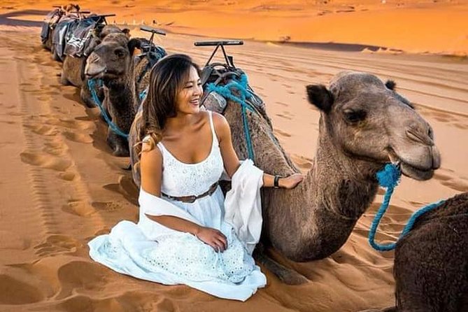 Luxury Overnight From Fez To Merzouga - Included Activities