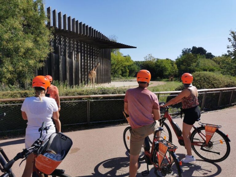 Lyon: 2 Hour Electric Bike Tour With A Local Guide Tour Overview