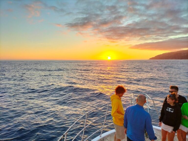 Madeeira: Sunset Dinner Cruise Activity Overview