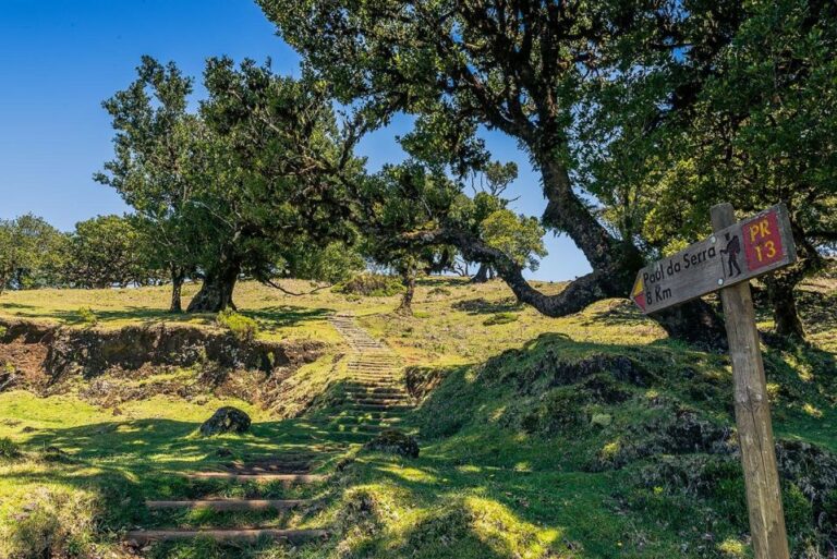 Madeira: Full Day Porto Moniz Jeep Tour Tour Overview