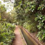 Madeira: Private Levada Fajaˆ Dos Rodrigues Walk Overview Of The Tour