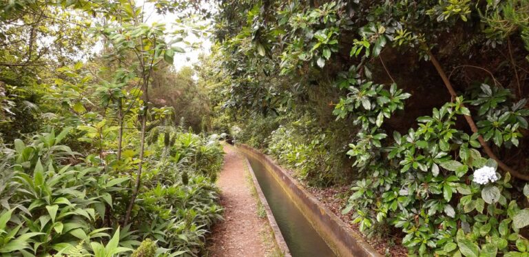 Madeira: Private Levada Fajaˆ Dos Rodrigues Walk Overview Of The Tour