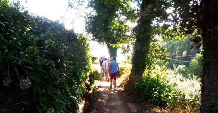 Madeira: Walking Tour Paradise Valley / Rochão Overview Of The Tour