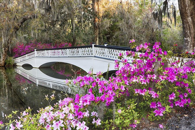 Magnolia Plantation Admission & Tour With Transportation From Charleston - Tour Overview