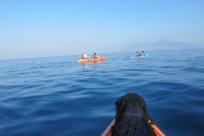 Makena Turtle Town Eco Adventure In Maui Tour Overview