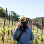 Malibu: Guided Vineyard Hike With Photo Stops And Wine Activity Overview