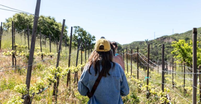 Malibu: Guided Vineyard Hike With Photo Stops And Wine Activity Overview