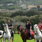 Mallorca: Guided Horseriding Tour Of Randa Valley Tour Overview