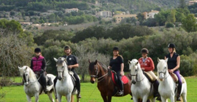 Mallorca: Guided Horseriding Tour Of Randa Valley Tour Overview