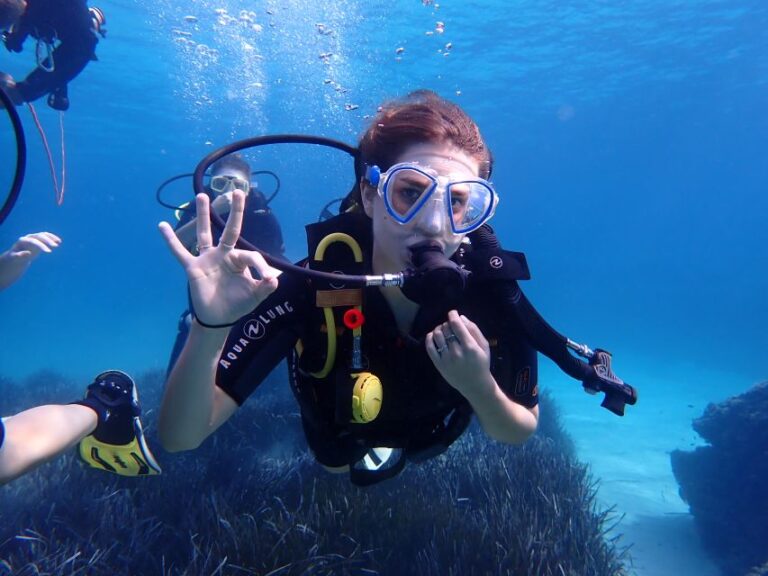 Mallorca: Try Out Scuba Diving In A Marine Nature Reserve Activity Overview