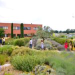 Manosque: L'occitane En Provence Guided Factory Tour Overview Of The Guided Tour