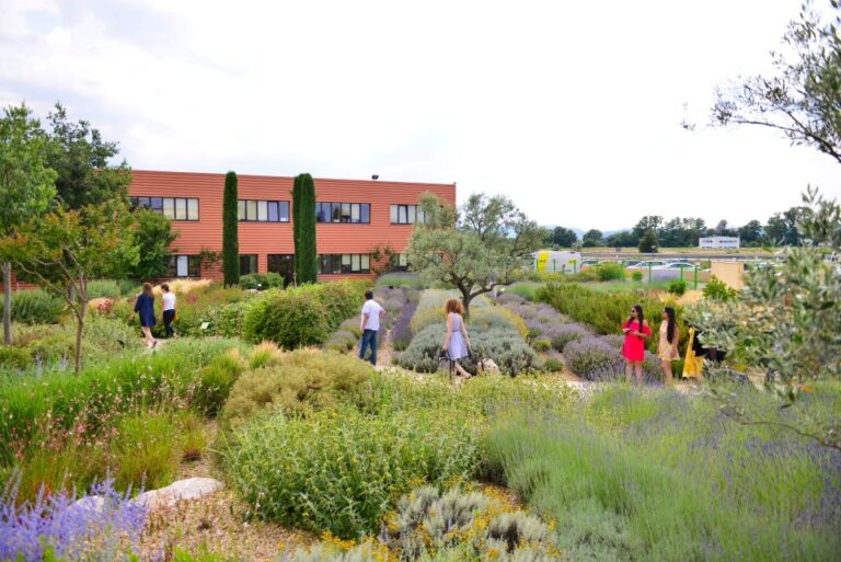 Manosque: L'occitane En Provence Guided Factory Tour Overview Of The Guided Tour