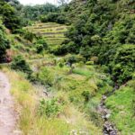 Marocós / Mimosa Valley Levada Walk Scenic Landscapes And Vistas